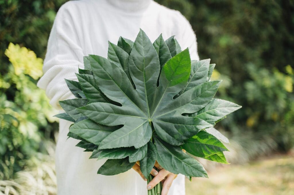 Beautifying your home with natural foliage is good for the environment